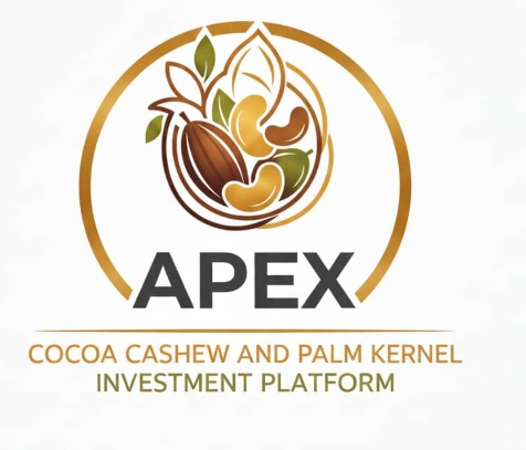APEX logo